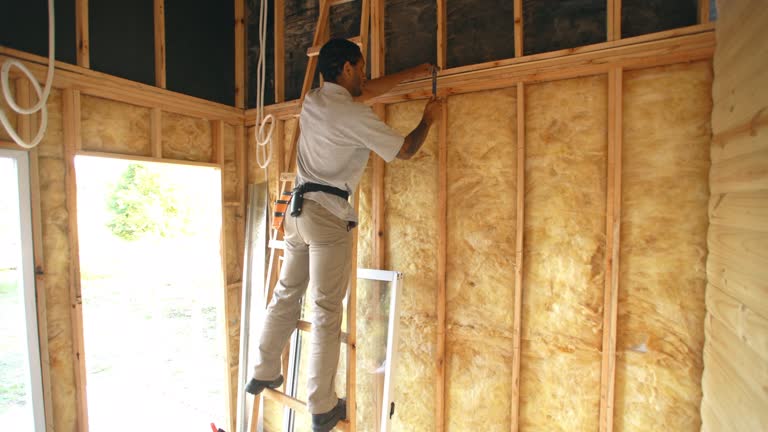 Best Eco-Friendly or Green Insulation Solutions  in Amite City, LA